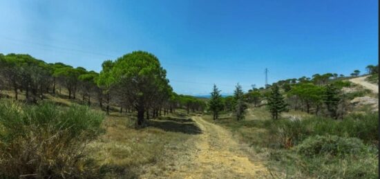 Terrain à bâtir à , Aude
