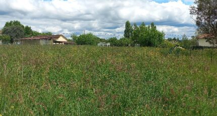 Montpon-Ménestérol Terrain à bâtir - 2473950-5020annonce120260401dwlwo.jpeg Maisons France Confort