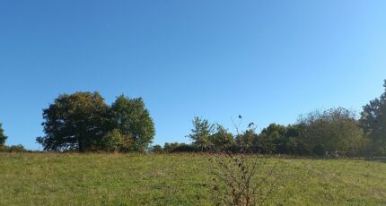 Montpon-Ménestérol Terrain à bâtir - 2473962-5020annonce120260401ohRtg.jpeg Maisons France Confort