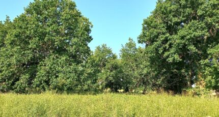 Montpon-Ménestérol Terrain à bâtir - 2473975-5020annonce120260401i0TSK.jpeg Maisons France Confort