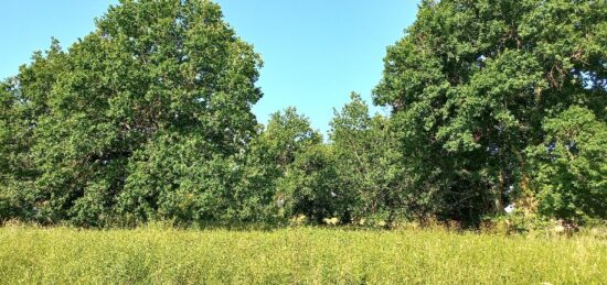 Terrain à bâtir à Montpon-Ménestérol, Nouvelle-Aquitaine
