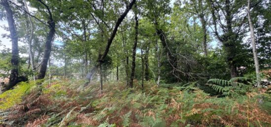 Terrain à bâtir à , Gironde