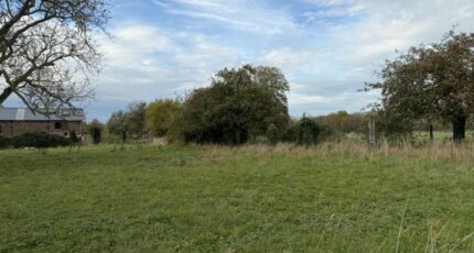 Masny Maison neuve - 2409970-10063annonce220260128ATwqm.jpeg Maisons France Confort