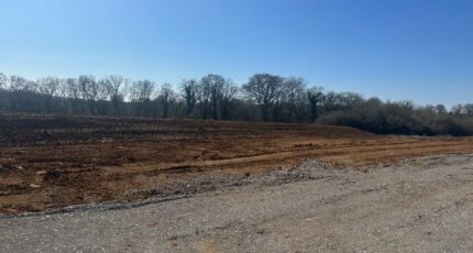 Thionville Maison neuve - 2473417-5139annonce120260401DhAI7.jpeg Maisons France Confort