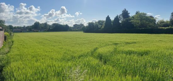 Terrain à bâtir à , Pas-de-Calais