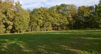 Duras Terrain à bâtir - 2417446-10776annonce120260203wRbM2.jpeg Maisons France Confort