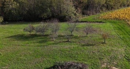 Capian Terrain à bâtir - 2418046-10776annonce120260204Bx11s.jpeg Maisons France Confort