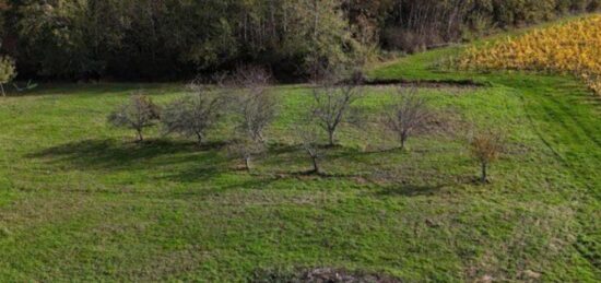 Terrain à bâtir à Capian, Nouvelle-Aquitaine