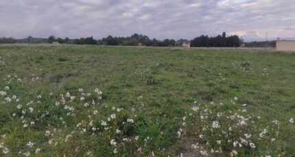 Fleury Terrain à bâtir - 2445507-11782annonce4202603021TA3t.jpeg Maisons France Confort