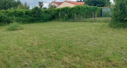 Fenouillet Maison neuve - 2474218-5604annonce220260402HTqvs.jpeg Maisons France Confort