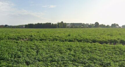 Râches Maison neuve - 2474967-1807annonce1202604024DRzM.jpeg Maisons France Confort