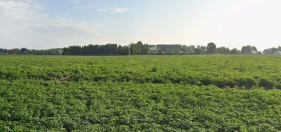 Terrain à bâtir à , Nord