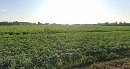 Râches Maison neuve - 2474969-1807annonce220260402FSUG3.jpeg Maisons France Confort