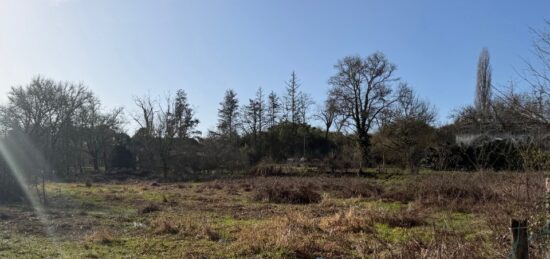 Maison neuve à , Gironde