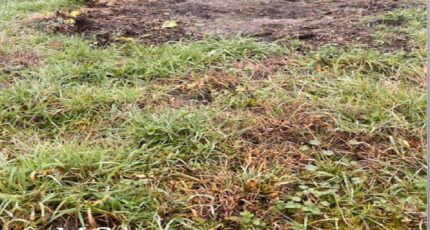 Cardan Maison neuve - 2444585-3601annonce120260228gd10f.jpeg Maisons France Confort