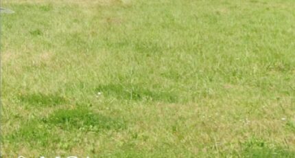 Biganos Maison neuve - 2463604-3601annonce1202603217TGMd.jpeg Maisons France Confort