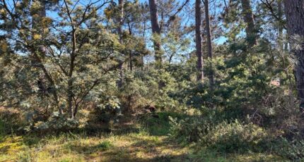 Andernos-les-Bains Terrain à bâtir - 2475260-11276annonce120260402MIQuS.jpeg Maisons France Confort