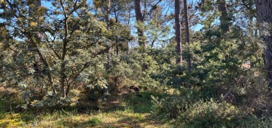Terrain à bâtir à Andernos-les-Bains, Nouvelle-Aquitaine