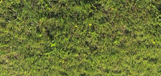 Terrain à bâtir à Belin-Béliet, Nouvelle-Aquitaine