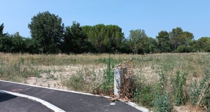 Le Triadou Terrain à bâtir - 2415553-3243annonce120260202EL9ZU.jpeg Maisons France Confort