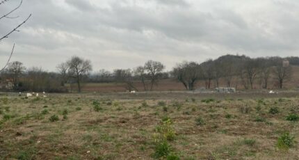 Castelnau-de-Lévis Maison neuve - 2475540-2684annonce120260403UN3qI.jpeg Maisons France Confort