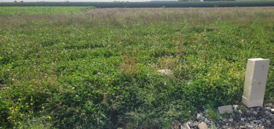 Terrain à bâtir à , Nord