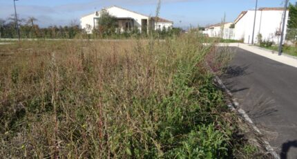 Grisolles Maison neuve - 2475013-5604annonce120260402W46KL.jpeg Maisons France Confort