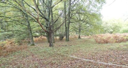 Panazol Terrain à bâtir - 2476171-11821annonce120260403icf9w.jpeg Maisons France Confort