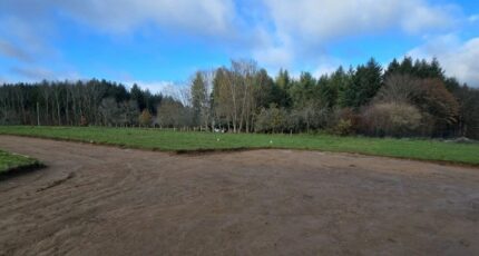 Le Palais-sur-Vienne Maison neuve - 2476146-11821annonce220260403AZy5F.jpeg Maisons France Confort