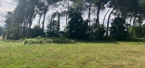 Terrain à bâtir à Samazan, Nouvelle-Aquitaine