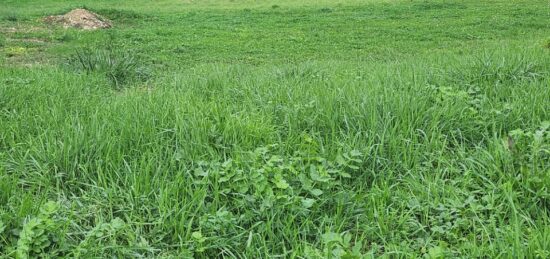 Terrain à bâtir à Bron, Auvergne-Rhône-Alpes