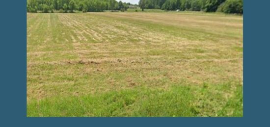 Terrain à bâtir à Pugnac, Nouvelle-Aquitaine