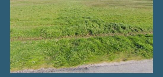 Terrain à bâtir à Saint-Savin, Nouvelle-Aquitaine