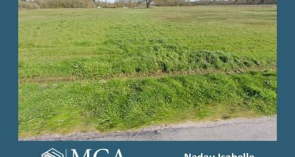 Saint-Savin Maison neuve - 2476471-11516annonce120260404KBez4.jpeg Maisons France Confort