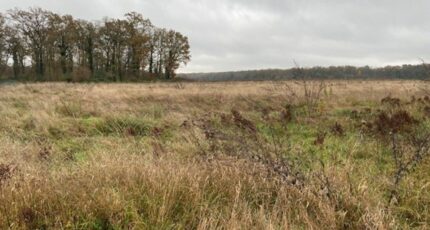 Pontarmé Terrain à bâtir - 2476697-4496annonce220251204mbr1D.jpeg Maisons France Confort