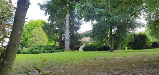 Terrain à bâtir à Thorigny-sur-Marne, Île-de-France