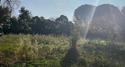 Albi Maison neuve - 2475880-2684annonce120260403VUJRo.jpeg Maisons France Confort