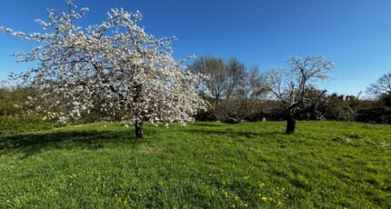 Camblanes-et-Meynac Terrain à bâtir - 2476835-11383annonce220260404wPO9f.jpeg Maisons France Confort