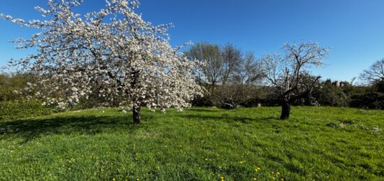 Terrain à bâtir à , Gironde