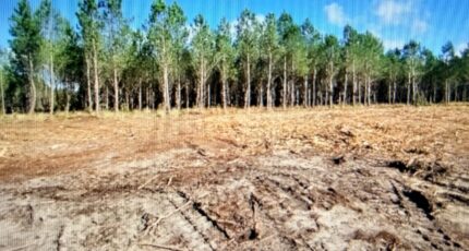 Hourtin Terrain à bâtir - 2411930-11280annonce120260129xWWSv.jpeg Maisons France Confort