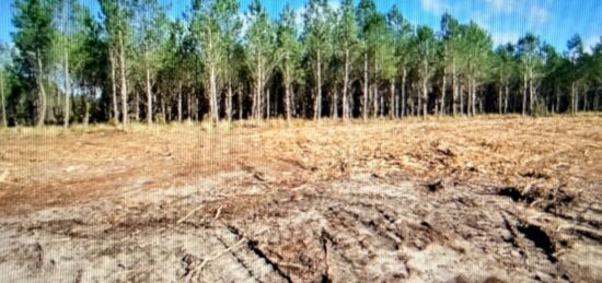 Terrain à bâtir à Hourtin, Nouvelle-Aquitaine