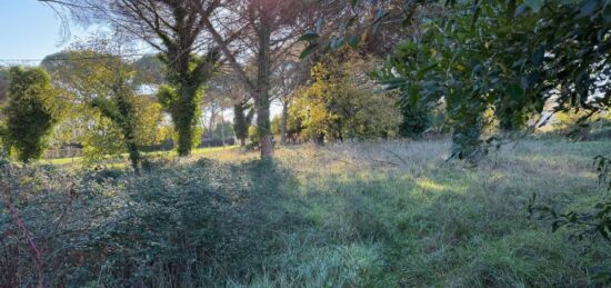 Maison neuve à , Gironde