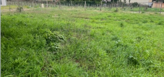 Terrain à bâtir à Portets, Nouvelle-Aquitaine