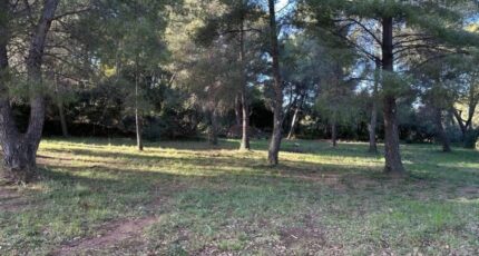 Ollioules Terrain à bâtir - 2413922-4590annonce2202601301P4x5.jpeg Maisons France Confort