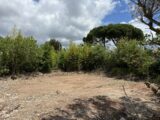 Terrain à bâtir à La Garde (83130) 2417413-4590annonce120260203D5mdD.jpeg Maisons France Confort