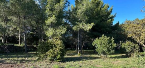 Maison neuve à , Var