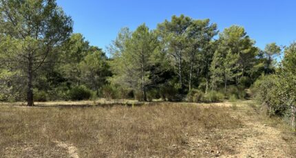 Méounes-lès-Montrieux Maison neuve - 2417487-4590annonce220260203TqQ8L.jpeg Maisons France Confort