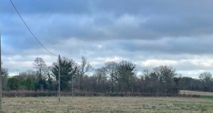 Livry Maison neuve - 2411783-11660annonce220260129x4XbO.jpeg Maisons France Confort