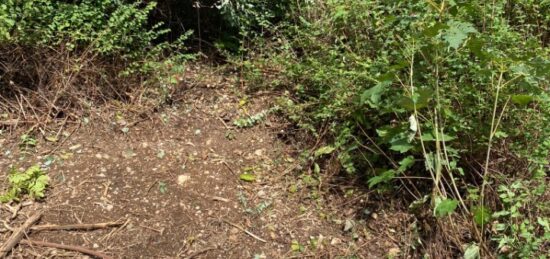 Terrain à bâtir à Chevry, Auvergne-Rhône-Alpes