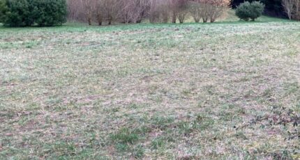 Saintes Terrain à bâtir - 2445867-10974annonce120260303pHUTX.jpeg Maisons France Confort